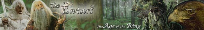 The Age of the Ring